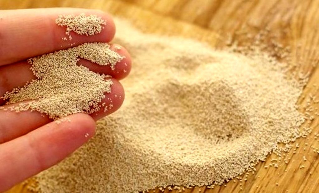 مخمر نانوایی ؛ نقش ها و مزیت های آن مخمر نانوایی ؛ نقش ها و مزیت های آن