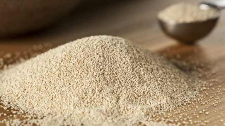 مخمر خمیرمایه