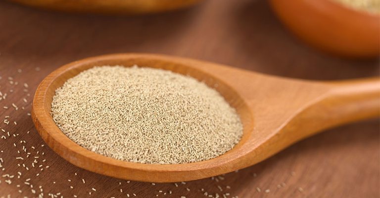 مخمر خمیرمایه