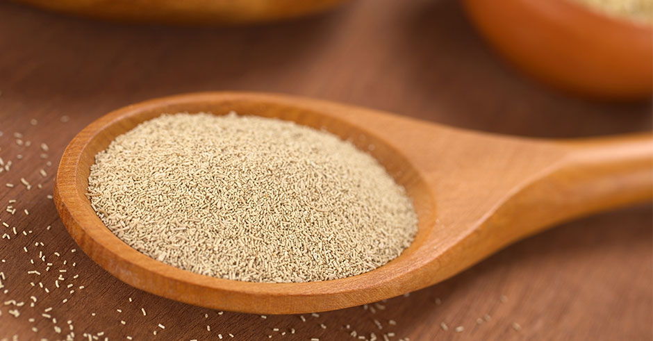 مخمر خمیرمایه