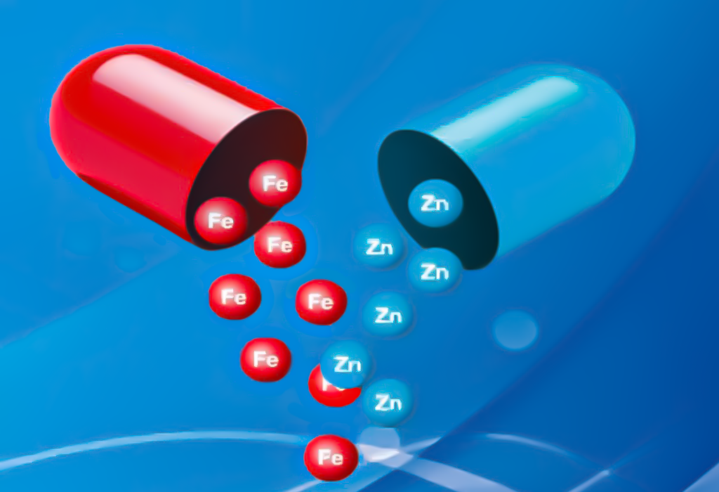 غنی سازی مخمر با آهن و روی غنی سازی مخمر با آهن و روی